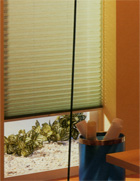 ������ - cosiflor, �����